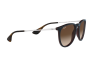 Sonnenbrille Ray-Ban Erika RB 4171 (631513)
