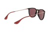 Солнцезащитные очки Ray-Ban Erika RB 4171 (639175)