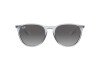 Occhiali da Sole Ray-Ban Erika Color Mix RB 4171 (651611)