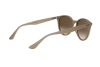 Lunettes de soleil Ray-Ban RB 4305 (616613)