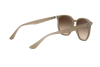 Lunettes de soleil Ray-Ban RB 4306 (616613)