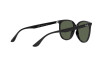 Lunettes de soleil Ray-Ban RB 4378 (601/71)