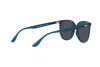 Occhiali da Sole Ray-Ban RB 4378 (669487)