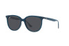 Occhiali da Sole Ray-Ban RB 4378 (669487)