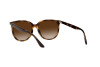 Lunettes de soleil Ray-Ban RB 4378 (710/13)