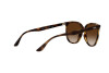 Lunettes de soleil Ray-Ban RB 4378 (710/13)