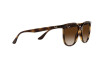 Lunettes de soleil Ray-Ban RB 4378 (710/13)