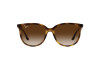 Lunettes de soleil Ray-Ban RB 4378 (710/13)