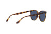 Lunettes de soleil Ray-Ban RB 4378 (710/80)