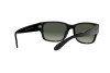 Occhiali da Sole Ray-Ban RB 4388 (601/71)