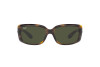 Lunettes de soleil Ray-Ban RB 4389 (710/31)