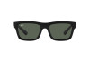 Sonnenbrille Ray-Ban Warren RB 4396 (667771)