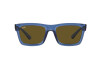 Occhiali da Sole Ray-Ban Warren RB 4396 (668073)