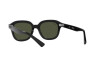 Occhiali da Sole Ray-Ban Erik RB 4398 (901/31)