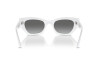 Sunglasses Ray-Ban Zena RB 4430 (675911)