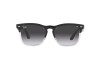 Occhiali da Sole Ray-Ban Steve RB 4487 (66308G)