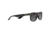 Lunettes de soleil Ray-Ban Junior new wayfarer RJ 9052S (100/11)