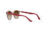 Sunglasses Ray-Ban RJ 9064S (712313)