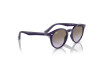 Sunglasses Ray-Ban RJ 9064S (71634Q)