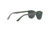 Sonnenbrille Ray-Ban RJ 9077S (71356G)