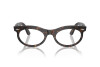 Eyeglasses Ray-Ban Wayfarer Oval RX 2242V (2012) - RB 2242V 2012