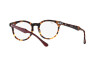 Eyeglasses Ray-Ban Eagle Eye RX 5598 (8250) - RB 5598 8250