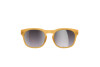 Солнцезащитные очки Poc Require RE1010 1825 VSI