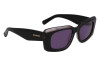 Sunglasses Salvatore Ferragamo SF1079SN (022)