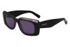 Sunglasses Salvatore Ferragamo SF1079SN (022)