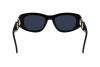 Sunglasses Salvatore Ferragamo SF1082SN (001)