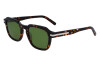 Sunglasses Salvatore Ferragamo SF1089SN (219)