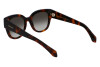 Sunglasses Salvatore Ferragamo SF2007S (240)