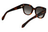 Sunglasses Salvatore Ferragamo SF2007S (240)