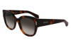 Sunglasses Salvatore Ferragamo SF2007S (240)