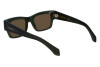 Sunglasses Salvatore Ferragamo SF2011S (320)