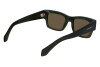 Sunglasses Salvatore Ferragamo SF2011S (320)