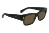 Sunglasses Salvatore Ferragamo SF2011S (320)