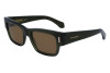 Sunglasses Salvatore Ferragamo SF2011S (320)