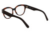 Eyeglasses Salvatore Ferragamo SF2957E (240)