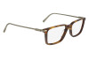 Eyeglasses Salvatore Ferragamo SF2977 (240)