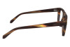 Brille Salvatore Ferragamo SF2997 (216)