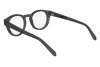 Brille Salvatore Ferragamo SF2998 (020)