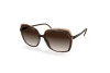 Sonnenbrille Silhouette Eos Collection 03193 6030