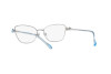 Brille Swarovski SK 1006 (4020)