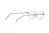 Brille Swarovski SK 1006 (4020)