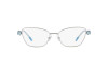 Brille Swarovski SK 1006 (4020)