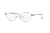 Brille Swarovski SK 1006 (4020)