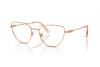 Lunettes de vue Swarovski SK 1007 (4014)