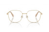 Lunettes de vue Swarovski SK 1009D (4013)