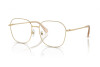 Lunettes de vue Swarovski SK 1009D (4013)